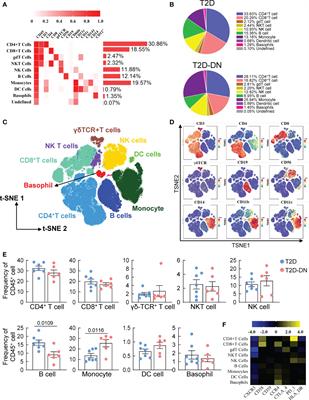 Corrigendum: Depiction of immune heterogeneity of peripheral blood from patients with type II diabetic nephropathy based on mass cytometry